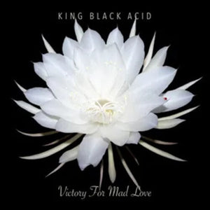 King Black Acid -- Victory For Mad Love