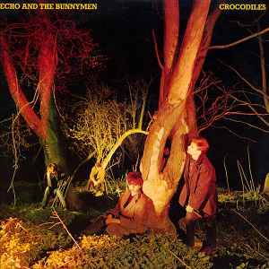 Echo & The Bunnymen -- Crocodiles