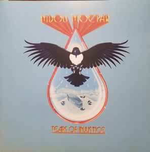 Mdou Moctar -- Tears Of Injustice