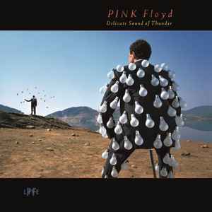 Pink Floyd -- Delicate Sound Of Thunder