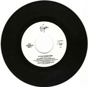 Shaggy -- In The Summertime / Boombastic