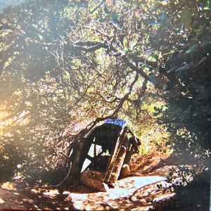 Segall, Ty -- Possession