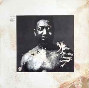 Muddy Waters -- After The Rain