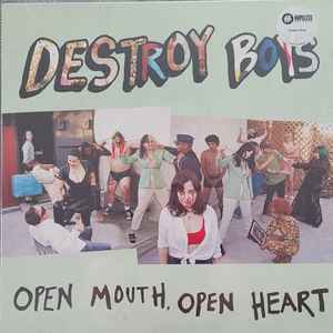 Destroy Boys -- Open Mouth, Open Heart