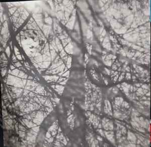 Grouper -- Way Their Crept