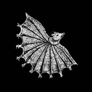 Xiu Xiu -- Ignore Grief