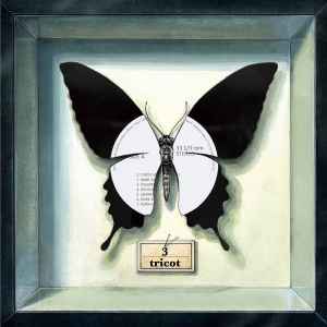 tricot -- 3