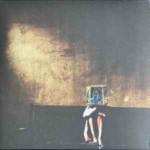 Polyphonic Spree -- Salvage Enterprise