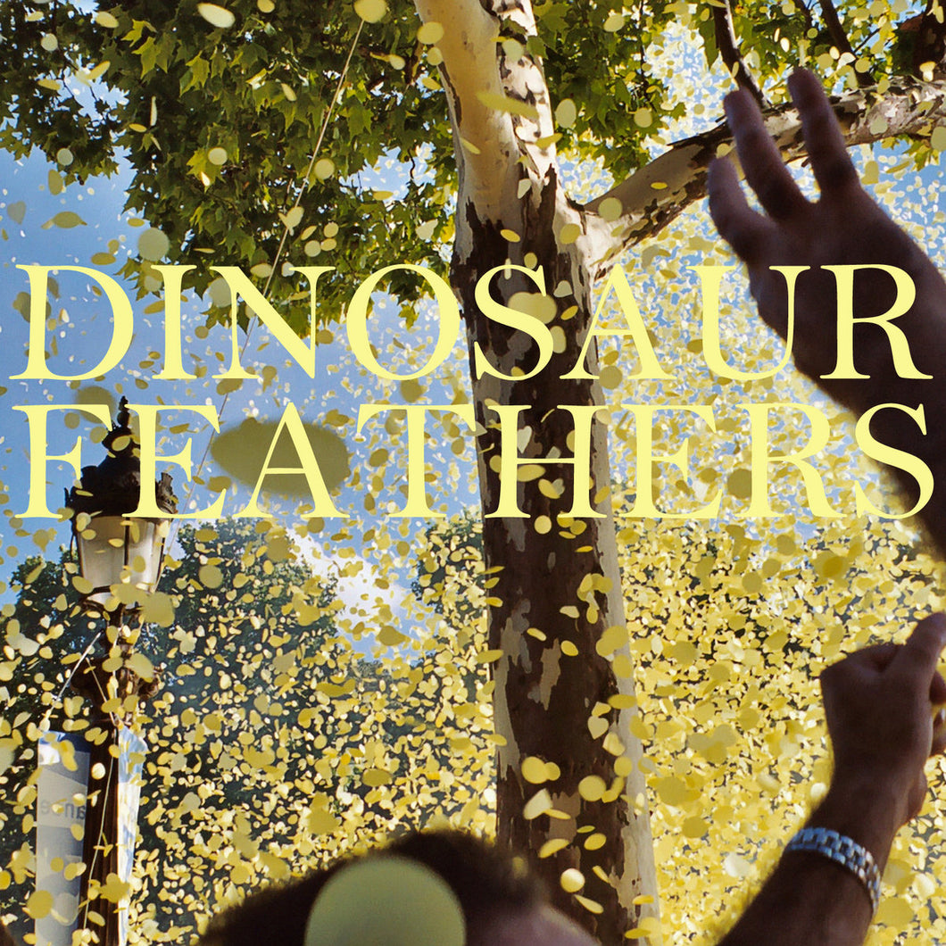 Dinosaur Feathers -- Whistle Tips